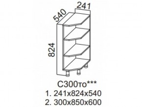 С300то Стол-рабочий 300 (торцевой открытый) в Асбесте - asbest.magazin-mebel74.ru | фото