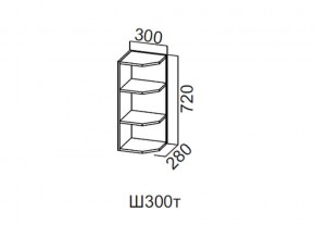 Ш300т/720 Шкаф навесной 300/720 (торцевой) в Асбесте - asbest.magazin-mebel74.ru | фото