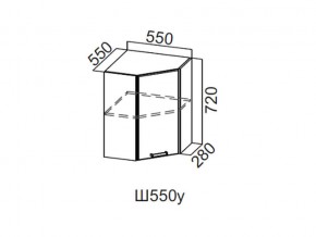 Ш550у/720 Шкаф навесной 550/720 (угловой) в Асбесте - asbest.magazin-mebel74.ru | фото