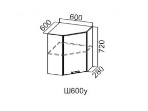 Ш600у/720 Шкаф навесной 600/720 (угловой) в Асбесте - asbest.magazin-mebel74.ru | фото