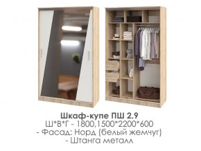 шкаф-купе ПШ-2.9 1500 Норд Белый жемчуг 1500 в Асбесте - asbest.magazin-mebel74.ru | фото