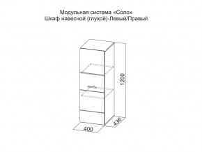 Шкаф навесной (глухой) Левый в Асбесте - asbest.magazin-mebel74.ru | фото