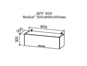 Шкаф верхний ДПГ800 горизонтальный в Асбесте - asbest.magazin-mebel74.ru | фото