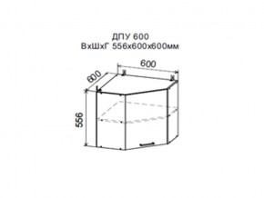 Шкаф верхний ДПУ600 угловой в Асбесте - asbest.magazin-mebel74.ru | фото